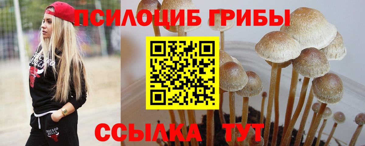 Псилоцибиновые грибы мухоморы  Вход с VPN  Киселёвск 